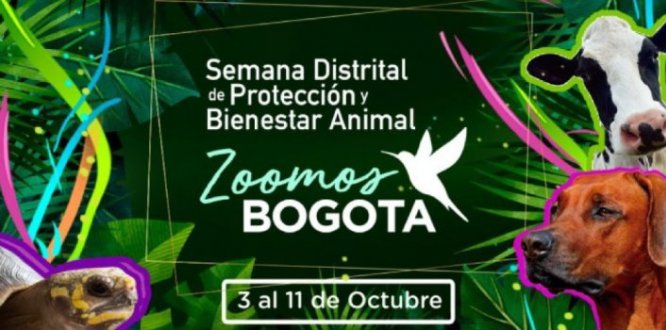 Ya llega la Semana Distrital de Protección y Bienestar Animal 2020 #ZoomosBogotá Ya llega la Semana Distrital de Protección y Bienestar Animal 2020 #ZoomosBogotá