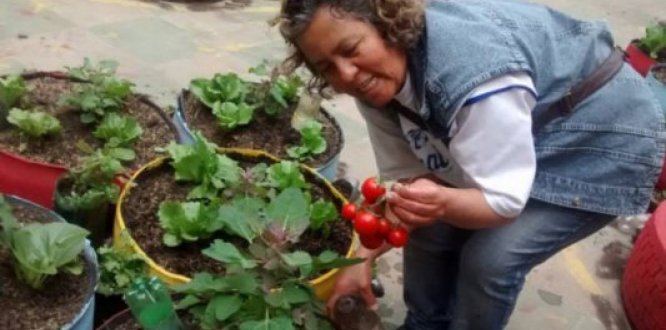 Mujer con tomates de huerta urbana