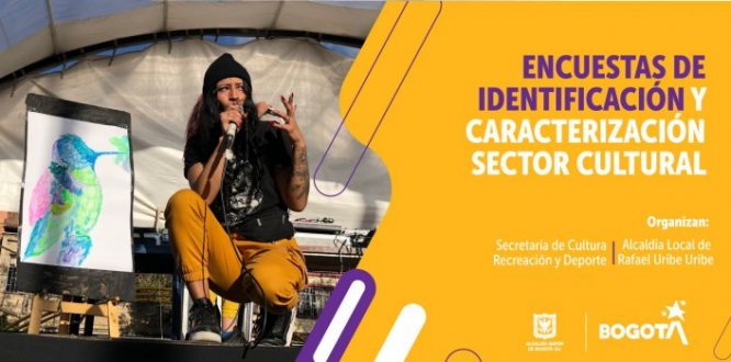 Encuestas de identificación y caracterización sector cultural 