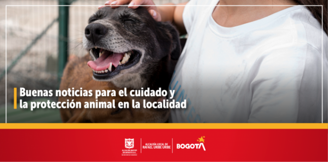 Buenas noticias para el cuidado y la protección animal en la localidad
