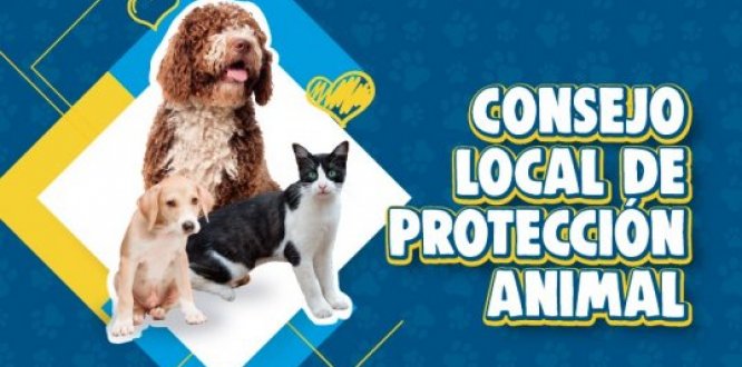 Consejo Local de Protección y Bienestar Animal