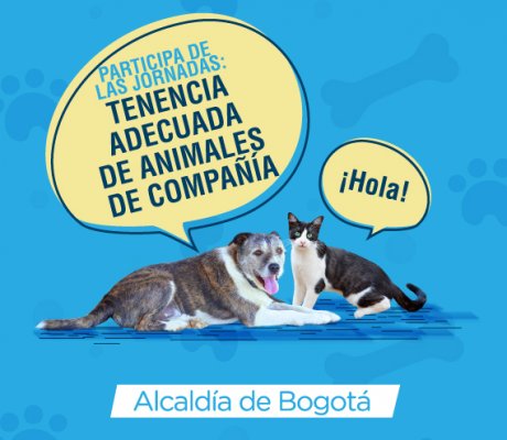 Jornadas de tenencia adecuada de animales de compañía. 