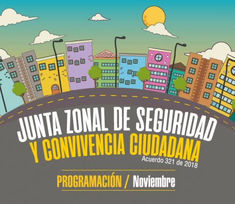 Programación Juntas Zonales Noviembre 