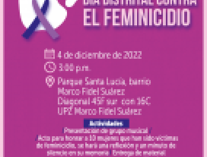 Día distrital contra el feminicidio