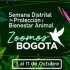 Ya llega la Semana Distrital de Protección y Bienestar Animal 2020 #ZoomosBogotá