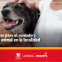 Buenas noticias para el cuidado y la protección animal en la localidad