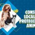 Consejo Local de Protección y Bienestar Animal